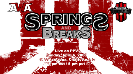 Springs & Breaks 2008 Banner